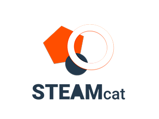 STEAM